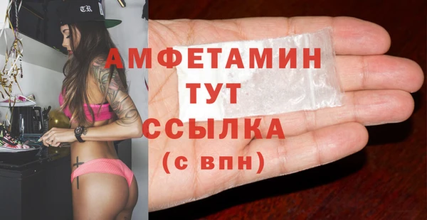 гидра Верея