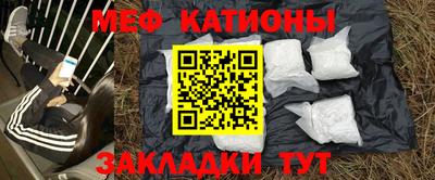 стаф Берёзовский