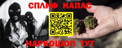 стаф Берёзовский