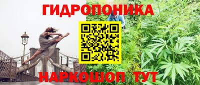 стаф Берёзовский