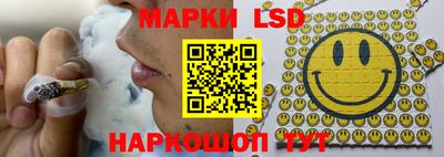 стаф Берёзовский