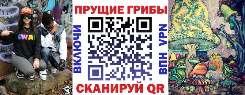 где купить   Видное  Галлюциногенные грибы MAGIC MUSHROOMS 