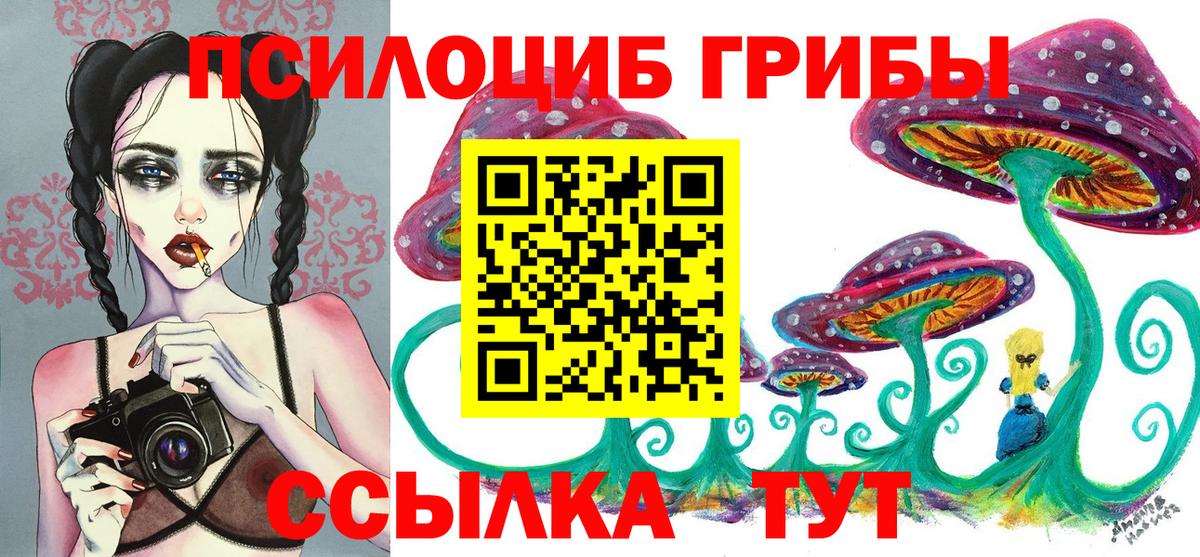 Псилоцибиновые грибы Cubensis Видное