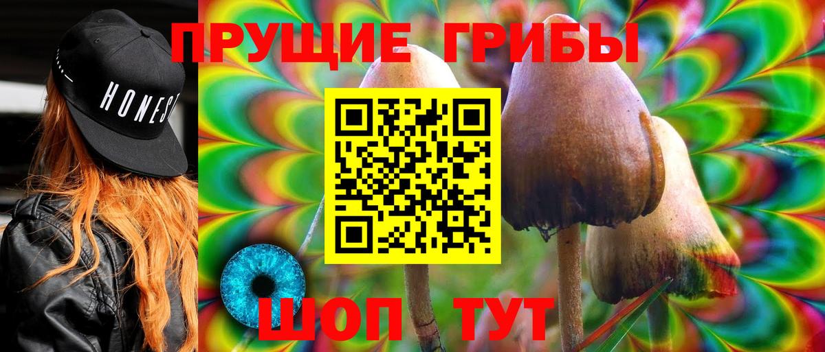 Галлюциногенные грибы Psilocybine cubensis  Вход с VPN  Видное  Псилоцибиновые грибы ЛСД 