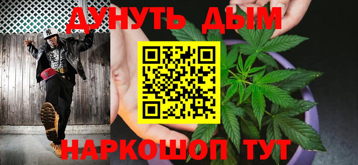 Конопля сатива Видное